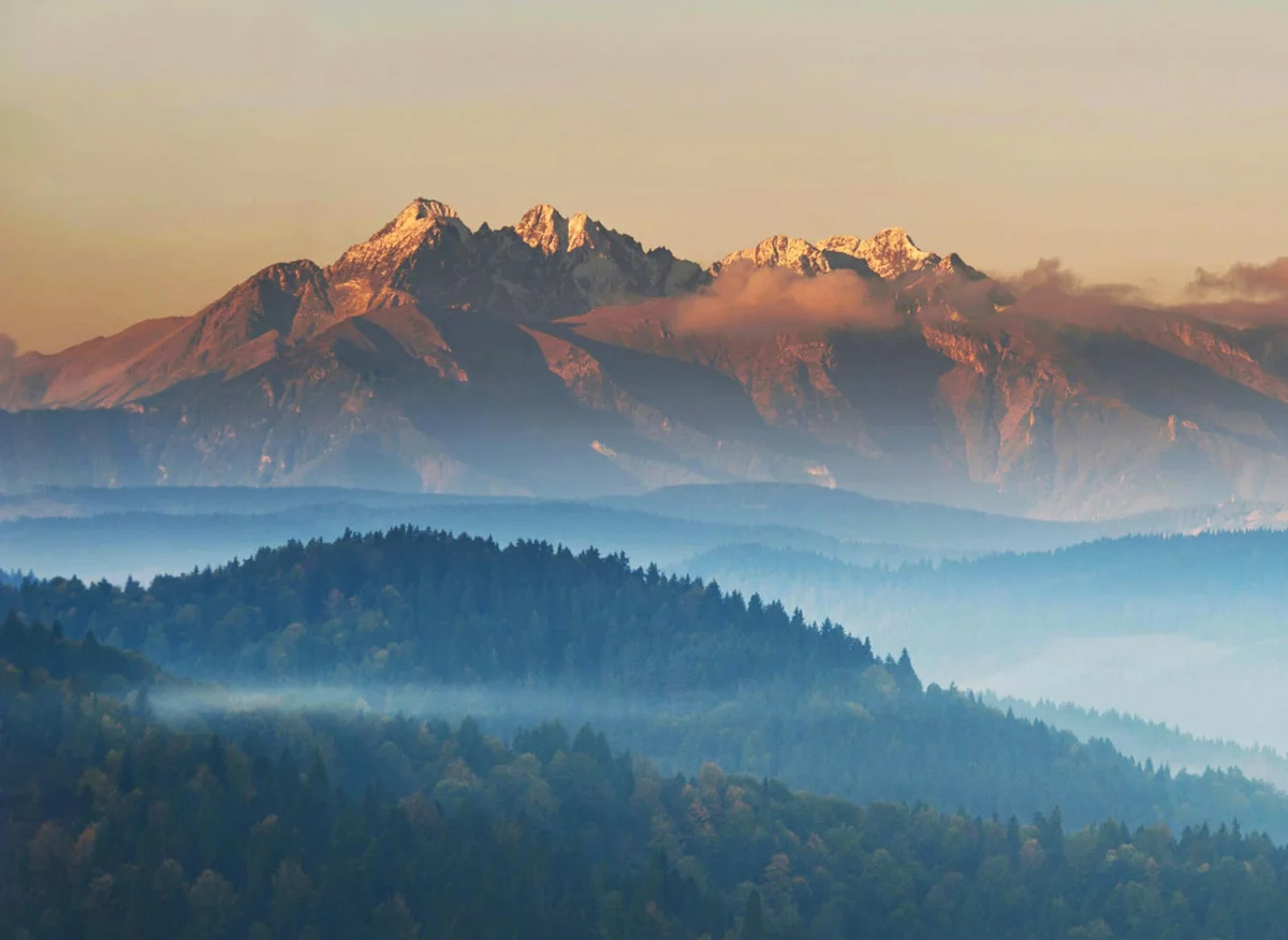 Zmiany w sposobie konsumpcji RTV - perspektywy rynkowe na przyszłość