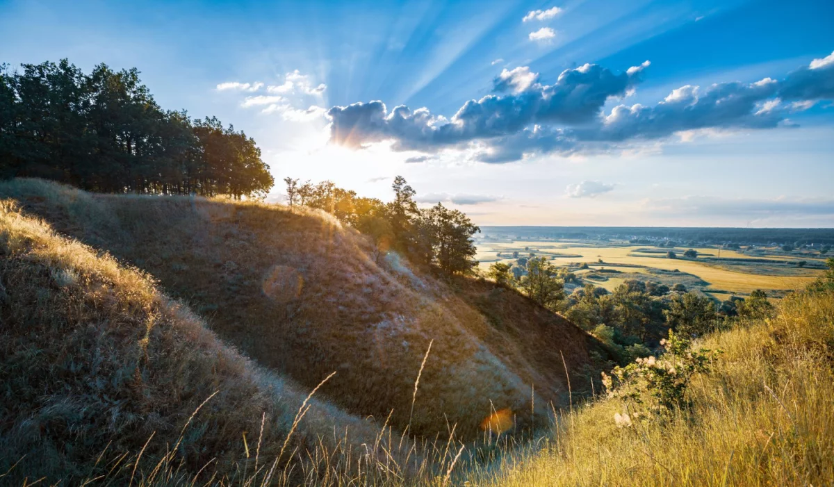 Rozwój i zastosowanie nowoczesnego sprzętu laboratoryjnego w badaniach naukowych