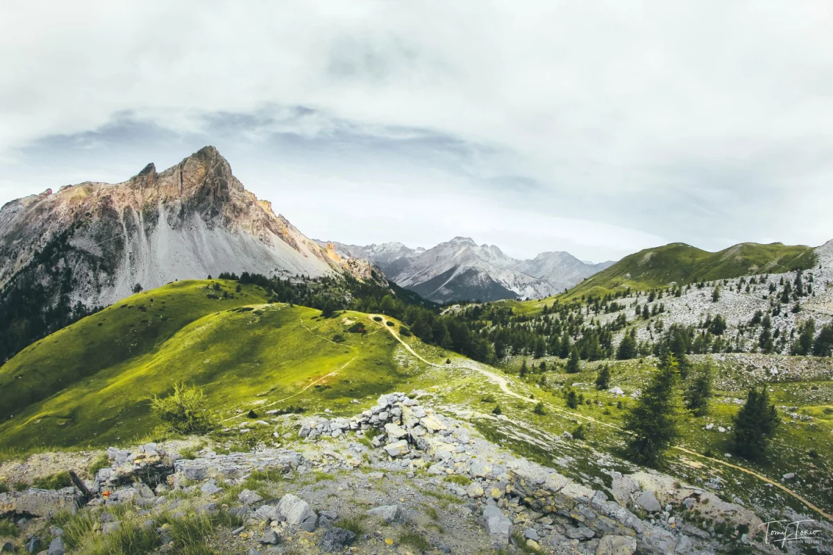 Dentysta Cieszyn - Gdzie znaleźć najlepszego specjalistę w swoim mieście?