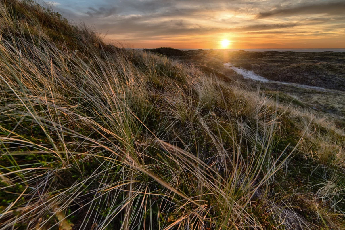 7 niezbędnych urządzeń AGD, które ułatwią codzienne życie