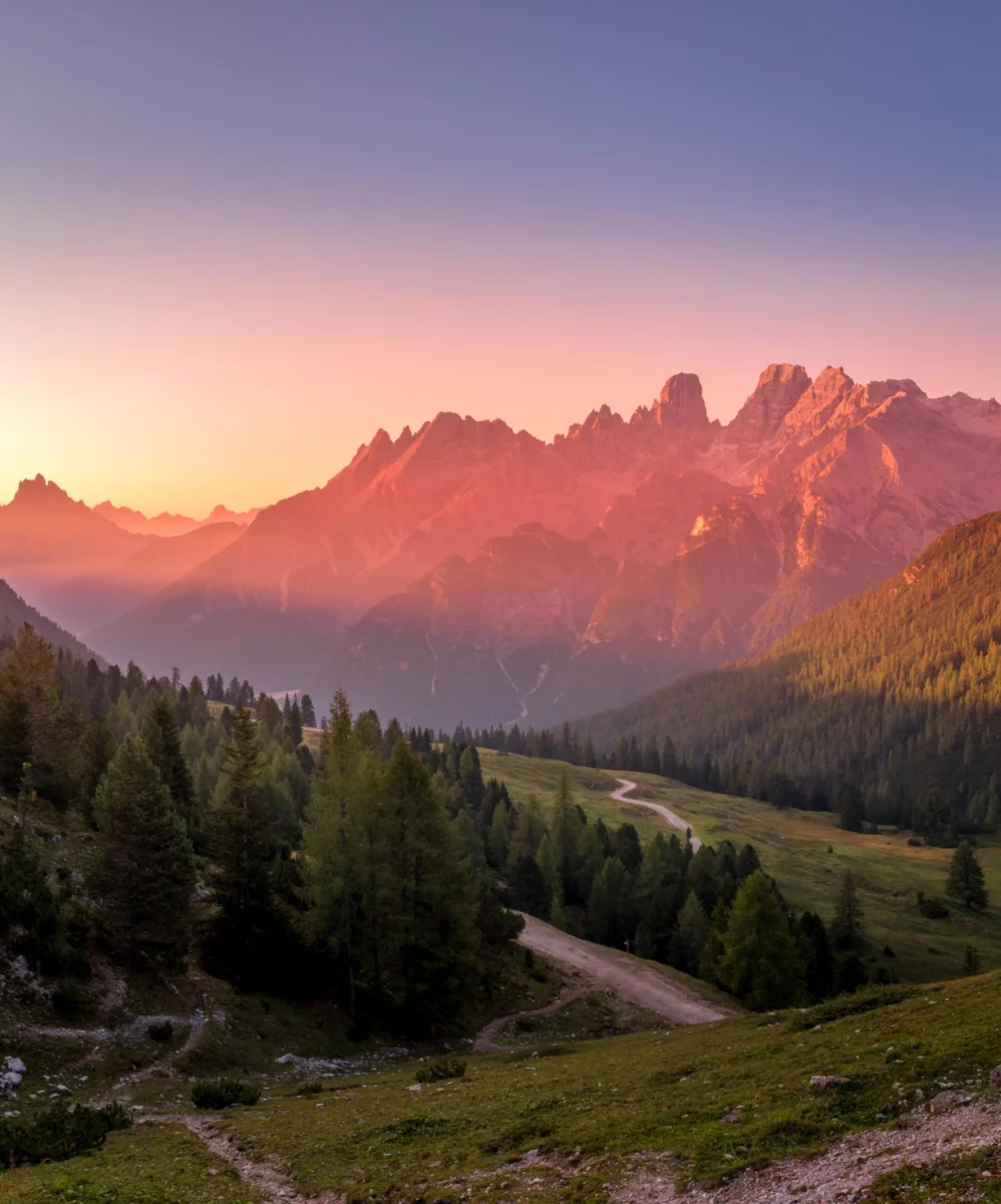 Zdobądź wysokie pozycje w wynikach wyszukiwania dzięki skutecznemu link buildingowi