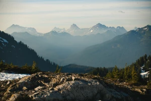 Radca prawny Katowice - jakie usługi oferuje i jakie są korzyści z jego skorzystania?